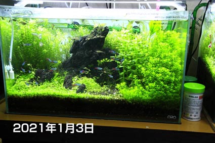 アクアリウム