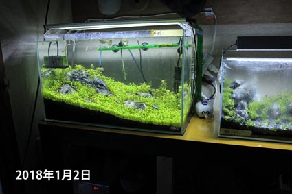 アクアリウム技術編2