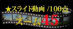 スライド動画45
