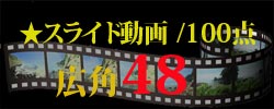 スライド動画48